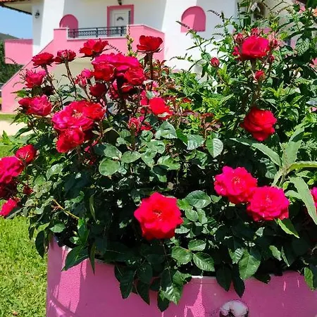 Апартаменты Vigla House Сикия