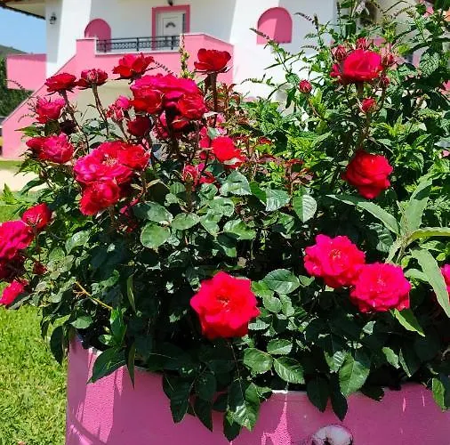 Apartament Vigla House Sykia