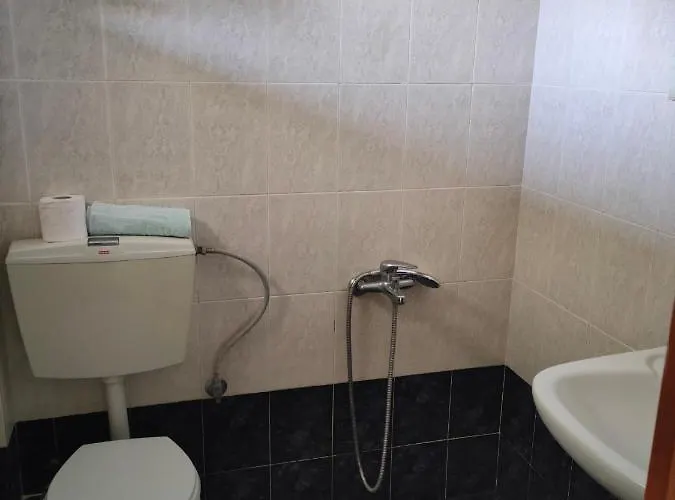 Apartament Vigla House