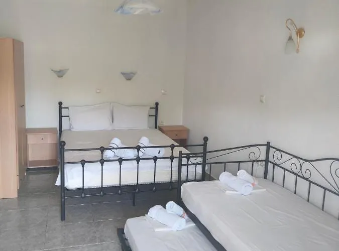 Apartament Vigla House