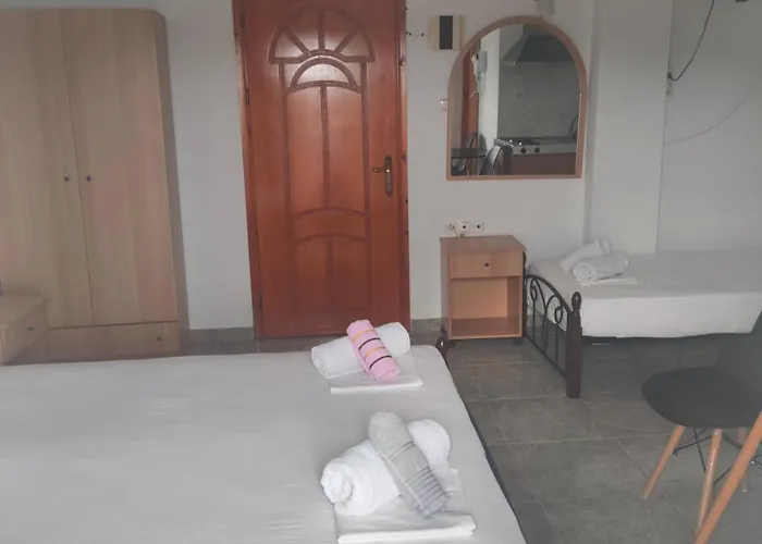 Apartament Vigla House *